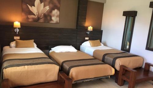 Double or Twin Room with Garden View