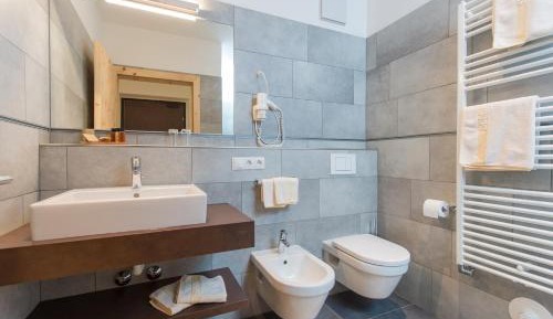 Double or Twin Room with Mountain View