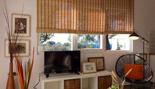 One-Bedroom Villa with Sea View