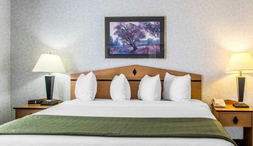 King Room - Non-Smoking