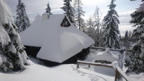 Apartment - Split Level