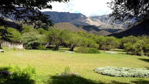 Three-Bedroom Bungalow