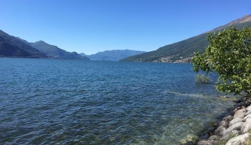 King Room with Lake View