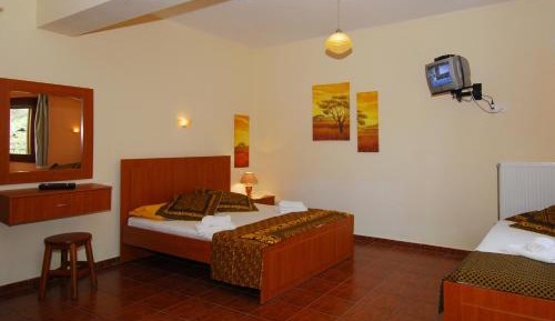 Superior Studio with Garden View 