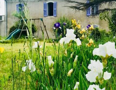 Studio with Garden View