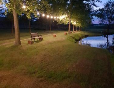 Apartment with Garden View