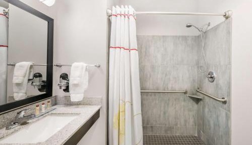 1 King Bed, Mobility/Mobility Accessible Suite, Roll-In Shower, Non-Smoking