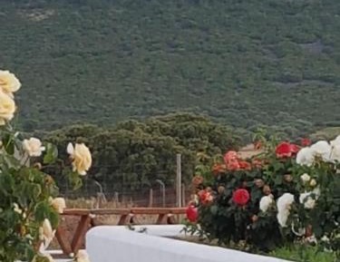 Seven-Bedroom House with Private Pool