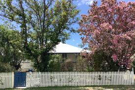 Stanthorpe House | Corellas on Corundum Cottage - wine not?