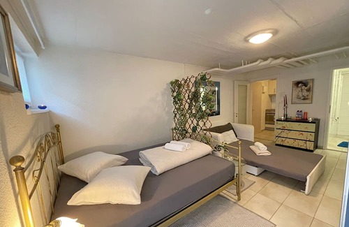 Basel City Centre Condo | Cozy Place Whit Fast Wifi 3 min From Rhine