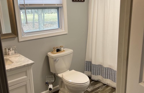 Lyndhurst House | Cozy Creekside Home with the National Forest at your back door !