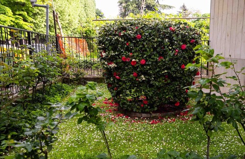 Vercelli Apartment | Vrbo Property