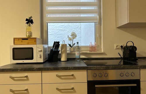 Magdeburg Apartment | FeelGood Apartment 55, sophisticated apartment in Magdeburg