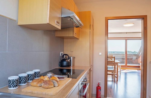 Brochterbeck Apartment | Hillside View Apartment