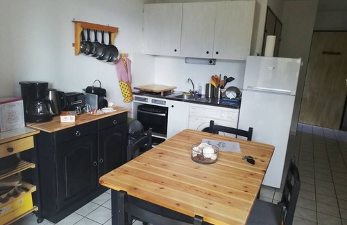 Barcelonnette Apartment | App 2ch with view - Barcelonnette - mountain- relaxation- ski - hike - mountain bike -