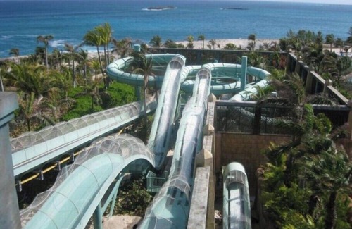Paradise Island Villa | Atlantis Bahamas - Harbourside 3 Bdr, 3 Bth Villa