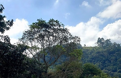 Nova Friburgo Ski Chalet | Chale Aconchegante com Trilhas e Riacho Dentro da Mata Atlantica