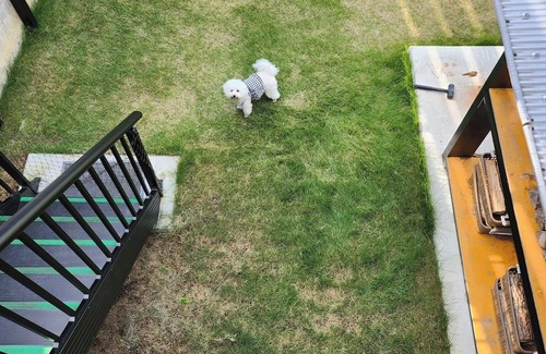 Shikokuchuo RV Rental | Dog allowed Trailer house with camping space / Shikokuchuo City Ehime