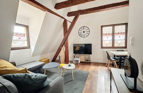 Kaysersberg-Vignoble Apartment | Renovated luxury apartment, in the middle of the Alsace wine route