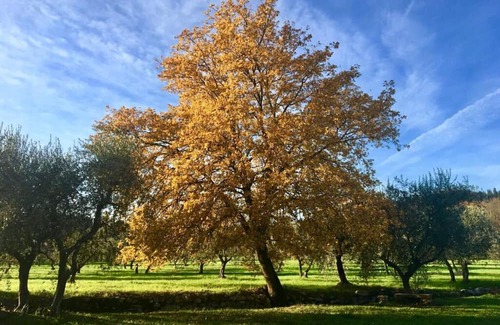 Montemurlo Villa | Stunning villa for 5 people with hot tub, WIFI, TV, pets allowed, panoramic view and parking