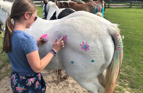 Holtgast Apartment | Ferienwohnung mit Einem Schlafzimmer in Ruhiger Idyllischer Lage, Nordseenähe