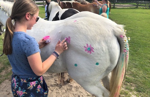 Holtgast Apartment | Wohnung 4 auf dem Ferienhof Eilts -viele Ponys und Sonstige Tiere in Nordseenähe