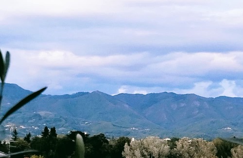 San Piero a Sieve Apartment | Atena Soggiorno,grazioso Appartamento con Terrazzo,terzo Piano no Ascensore