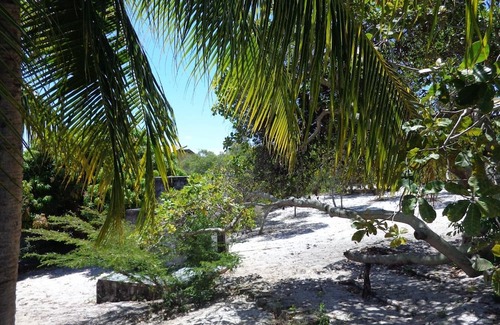 Monte Gordo House | Casa em Monte Gordo com 8.000 m² - Acesso à Internet e Aceitamos Animais