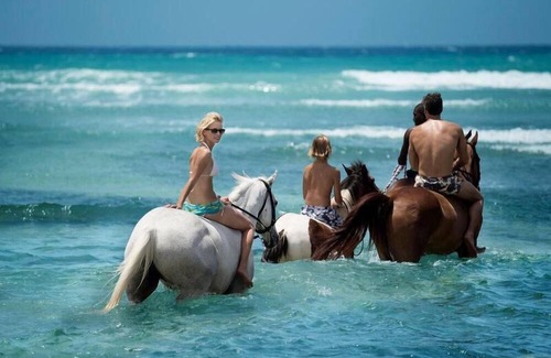 Montego Bay Resort | Ocean View Villa w/ Free WiFi, Onsite Restaurant, Cocktail Lounge & Fitness Area