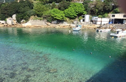 Otsuki House | 1 night without meals plan Westernstyle twin non / Hatagun Kōchi