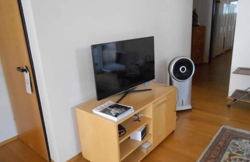 Dornbirn Apartment | Apartment 'Dornbirn Zentrum Bahnhof' with Mountain View