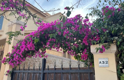 Sheikh Zayed City House | Charming 3-bedroom house in wonderful El Sheikh Zayed City swimming pool jacuzzi