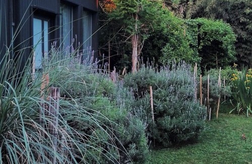 San Miguel del Monte Cabin | Unique Furnished Cabin with amenities