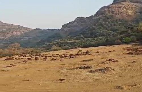 Kune N.m. Other | Luna Dimora Campgrounds