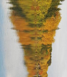 Marciac Ski Chalet | Le maison sur la colline