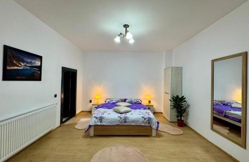 Sighisoara Apartment | Maria Studio And Apartment