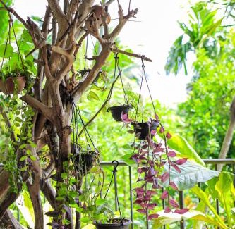 Kandy House | Cielo Residence