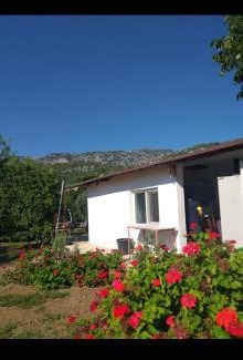 Cirali House | Gold Altınkaya Camping