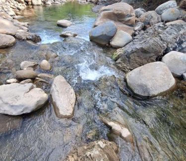 Checheng Cabin | 墾丁溪之谷樹屋農場民宿