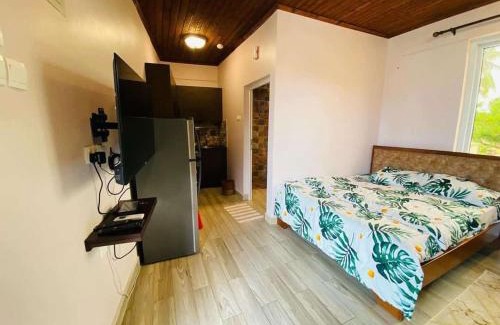 Mbezi Beach Apartment | TiksVillas