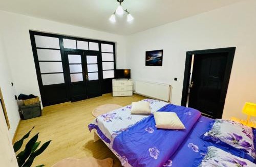 Sighisoara Apartment | Maria Studio And Apartment