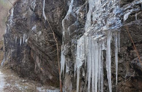 Intregalde House | Cabana de pe Vale
