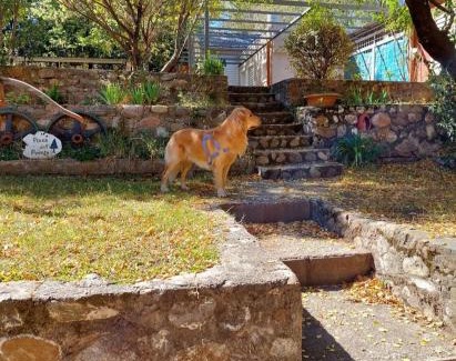 Trapiche Apartment | Pinos del puente