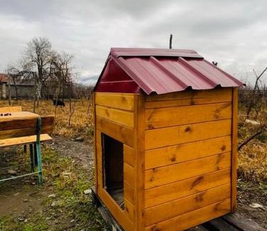 Shilda House | პანორამა შილდა/Panorama Shilda