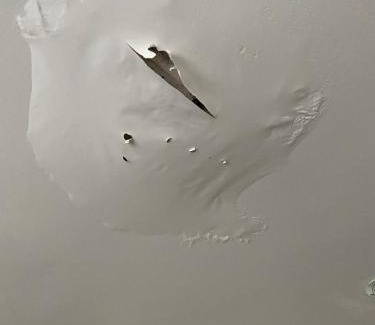 Markham Apartment | Rabbit small hole