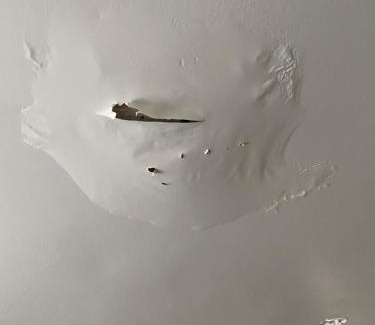 Markham Apartment | Rabbit small hole