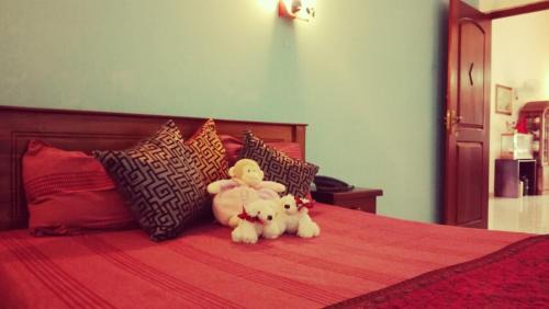 Ja-Ela Apartment | sapphire clover