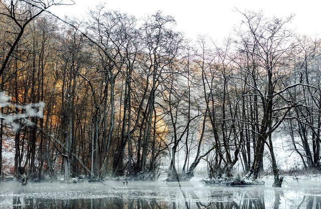 Pure relaxation: Brilon vacation apartment with a forest feel for the whole family!