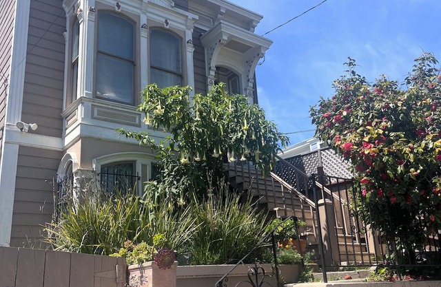 Thoroughly Modern Victorian Guest Suite on historic Mission District street.