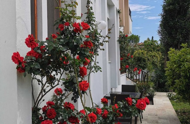 Ferienhaus/doppelhaushälfte mit Swimmingpool und Whirlpool im Schönen Garten